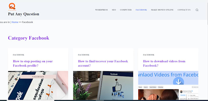 turning ideas into reality, I will make as a wordpress developer
