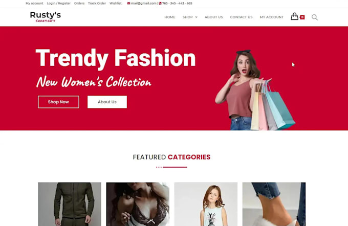 develop professional ecommerce websites, online stores, and business websites