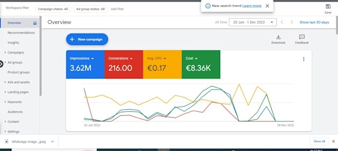set up google PPC ads campaign optimization and management