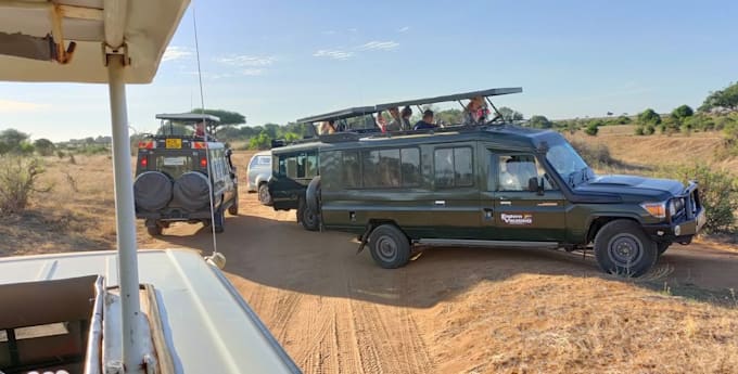 make custom travel itineraries, safaris, and adventures to kenya