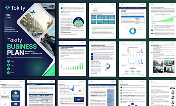 prepare fintech, saas and web 3 business plan or pitch deck