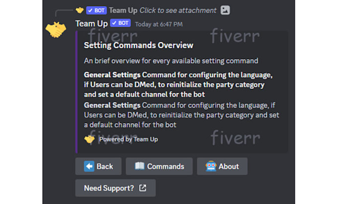 create a professional custom discord bot