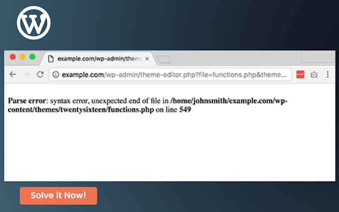 fix wordpress issues and errors fast
