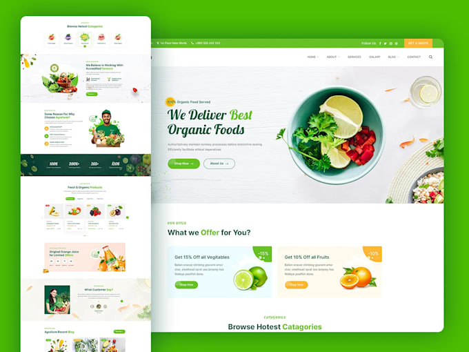 build and redesign professional wordpress websites and stores