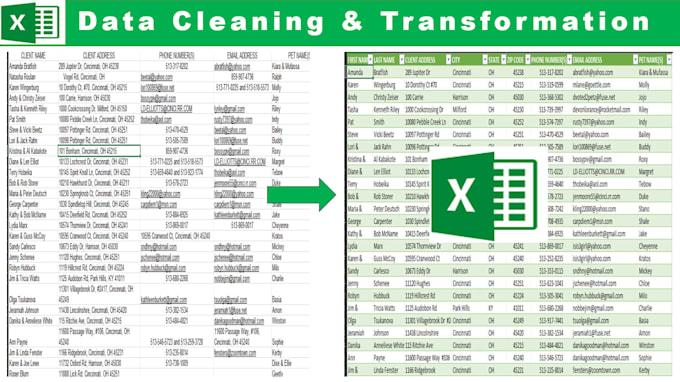 clean, format, and organize your excel or google sheets data