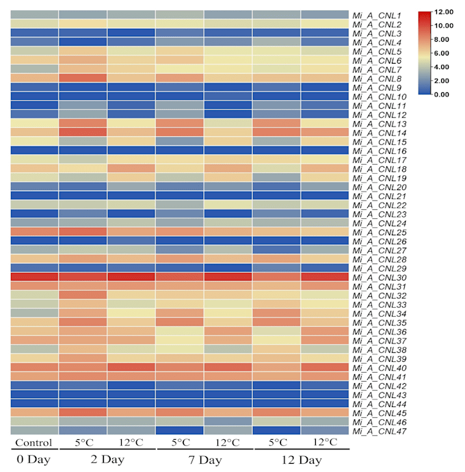 assist in microarray data analysis for the differential expression of genes