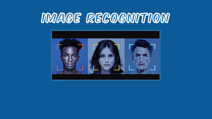 custom image recognition solutions