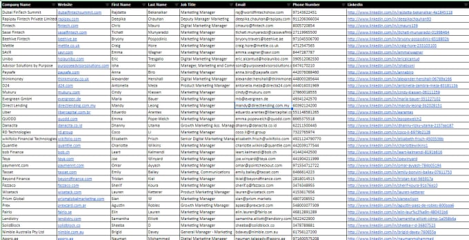 provide b2b lead generation and prospect list building