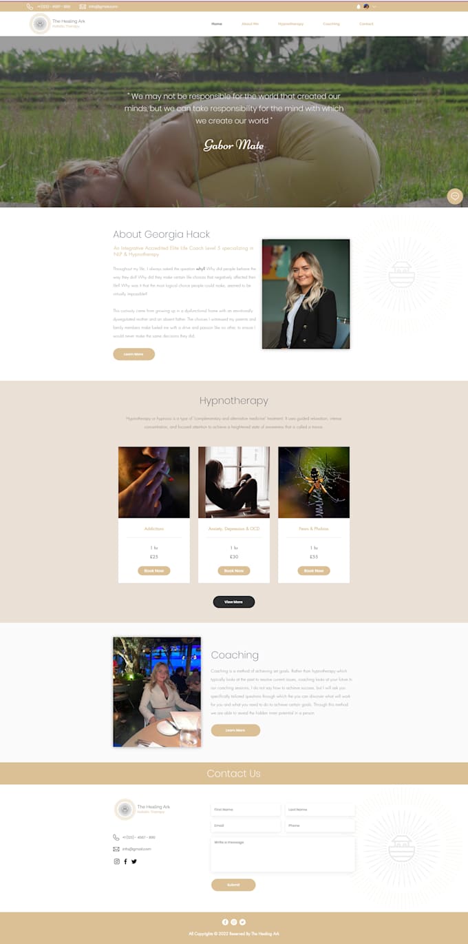 design, redesign a professional wordpress website