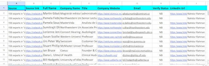 do professional data entry, web scraping, excel data entry