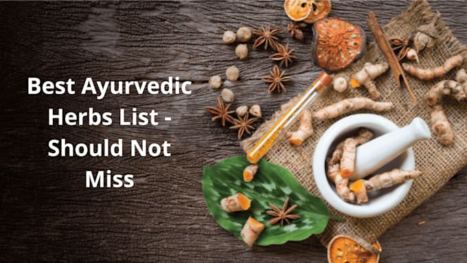 write an article on ayurveda  herbal medicine