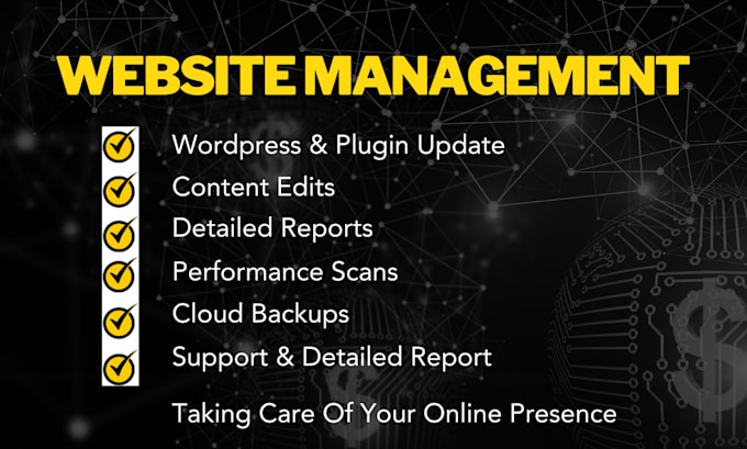 provide wordpress maintenance, support and management