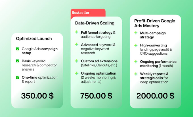 set up and optimize your google ads PPC campaigns