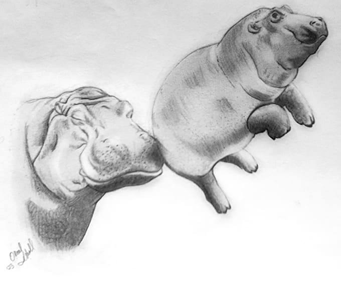 Draw beautiful high definition handdrawn pencil sketches by Artbyoreal