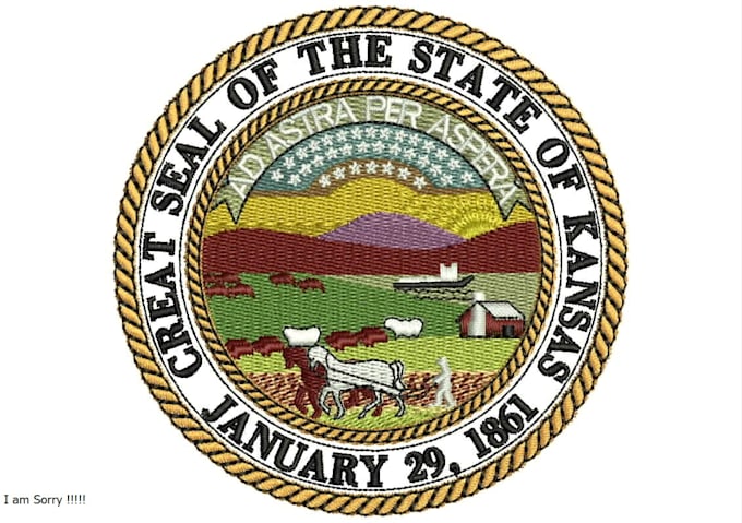 do embroidery digitizing logo into dst,pes, 3d puff in 2 hr,