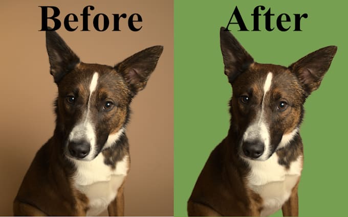 professionally remove background, hair masking