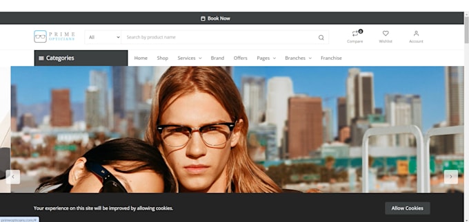fix, optimize, and develop a fast, secure, and SEO friendly laravel website