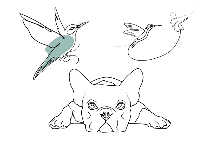draw your pet animal in line art, one line art, line art icon illustration logo