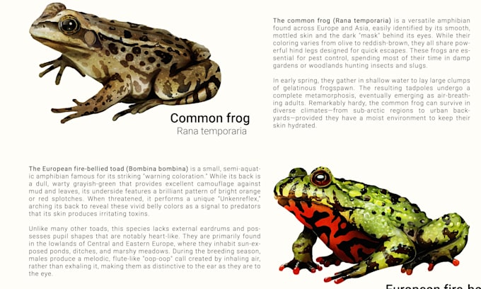 draw scientific animals, plants or encyclopedia book illustrations