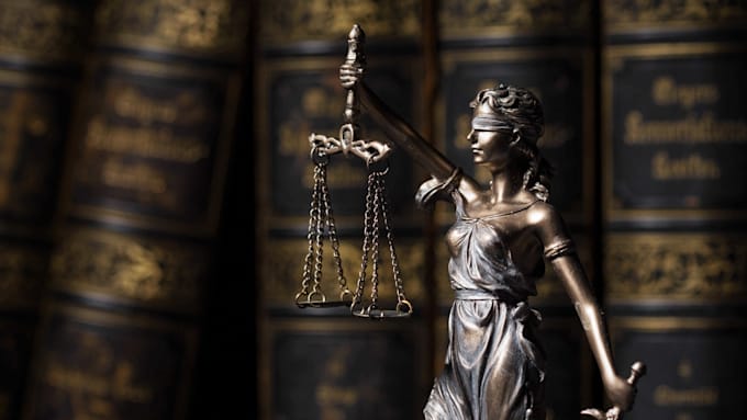 write lawsuits, motions, appeals, injunctions, legal notice