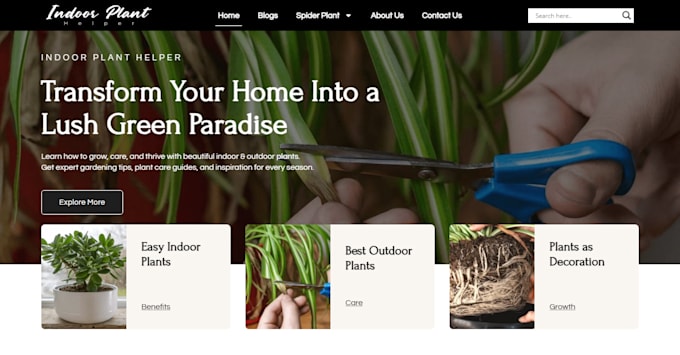 design professional wordpress website with elementor pro
