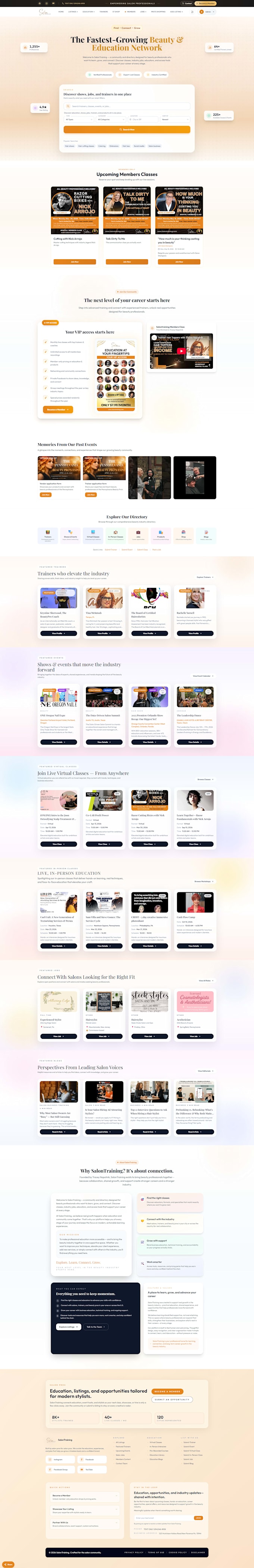 design and build a professional godaddy website for your business