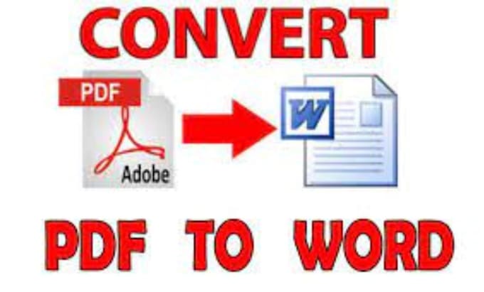 efficiently convert PDF to ms word fast and accurate service