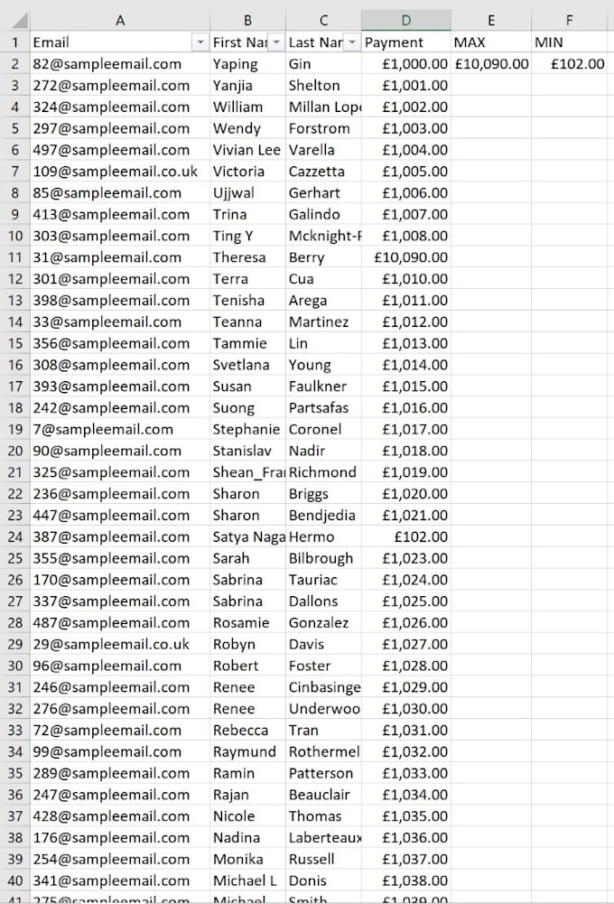 ms excel or CSV data cleaning, formatting, organize, remove duplicate data