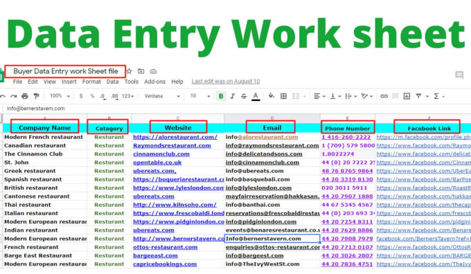 excel data entry, copy paste, typing, data entry
