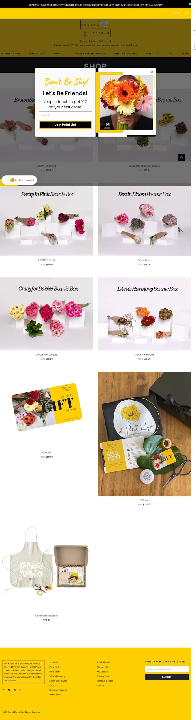 setup your shopify website