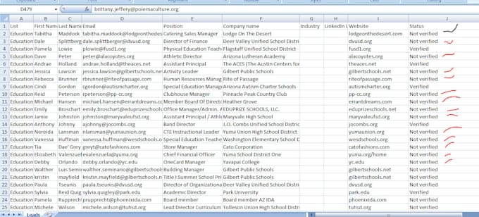 provide professional targeted lead generation and cold email outreach services