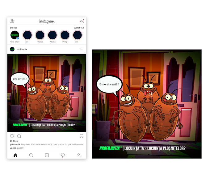 design branded instagram posts and carousels