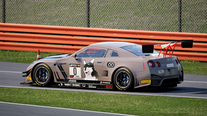 make you a custom assetto corsa skin