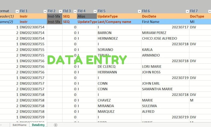 do excel data entry, web research, copy paste