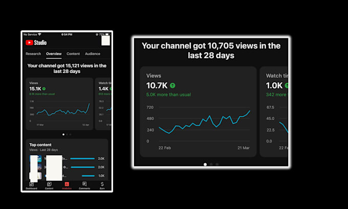 be your youtube manager and do channel SEO as channel manager