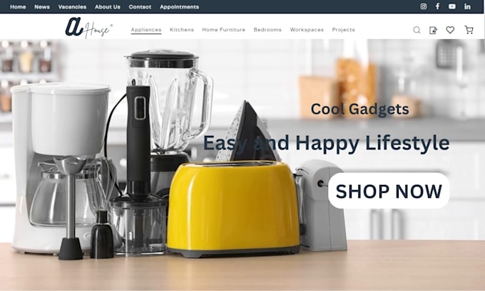 design 7 figure home appliances shopify store kitchenware dropshipping website