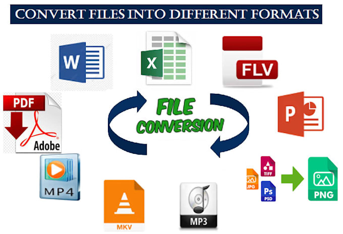 do data entry, excel, copy paste, retype recreate scanned documents