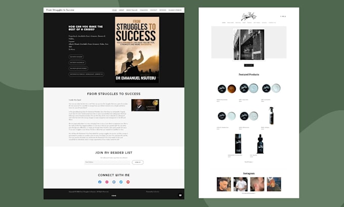 design, and redesign your godaddy website professionally