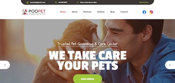 built professional dog walking pet sitter booking website
