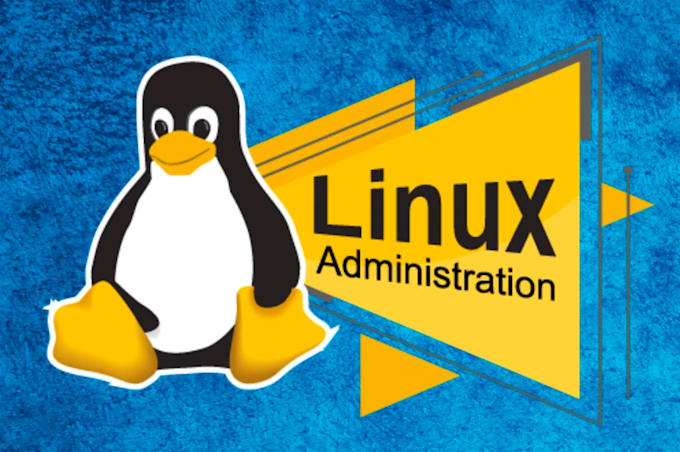 do linux and windows administration, pfsense firewall configuration and support