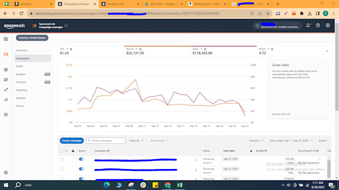be amazon PPC specialist, PPC management, and increase roas
