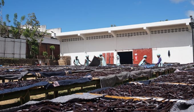 supply madagascar vanilla beans with your private label