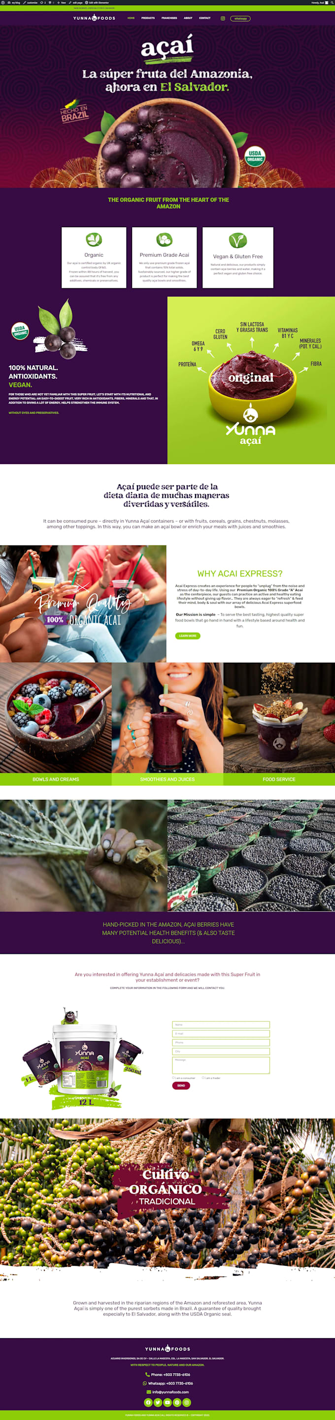 build business website design ai to wordpress ecommerce website development