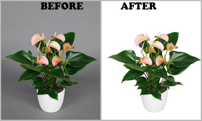 background remove and photoshop edit