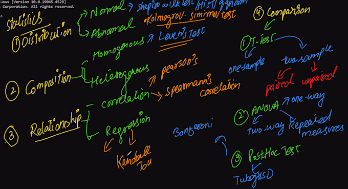 provide r programming, gis analysis, and satscan services
