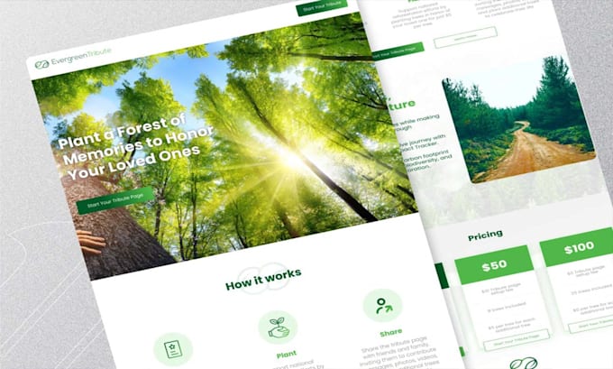 develop premium business website using wordpress with SEO