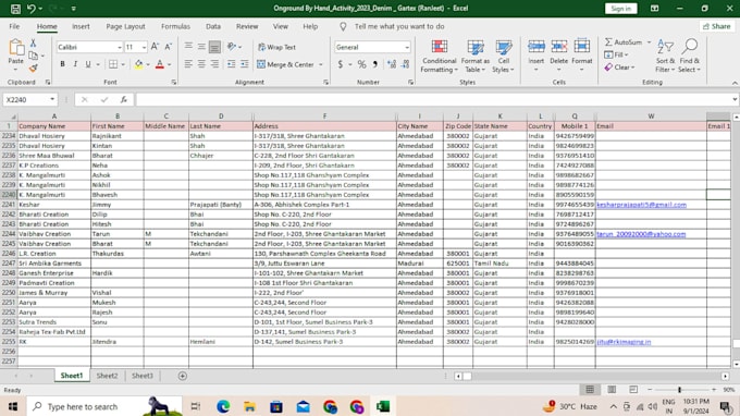 excel expert and data clean and data entry