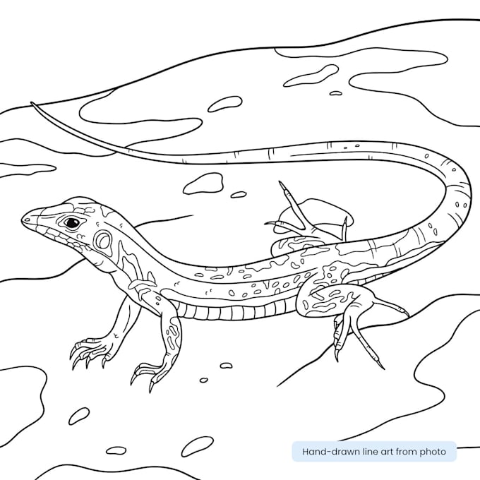 create a custom line art, clipart or coloring pages