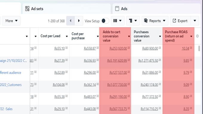 manage meta facebook and instagram ads for sales and leads
