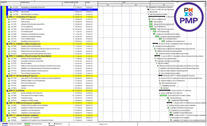 create schedules, gantt charts on primavera p6 or ms project